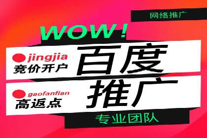 SEM托管公司案例研究：优化策略解析